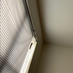 Meet your Posher, Argyll